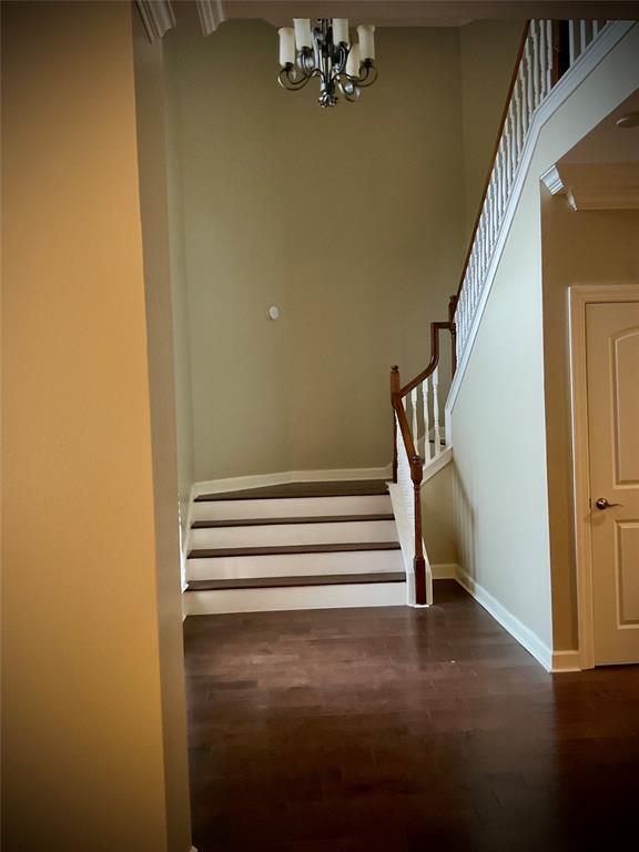 2003 Woerner Road, Houston, Texas image 4