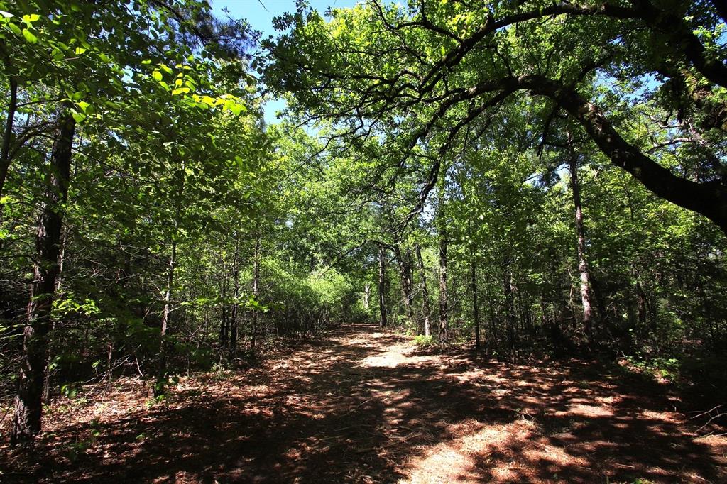 TBD County Road 4552, Winnsboro, Texas image 8