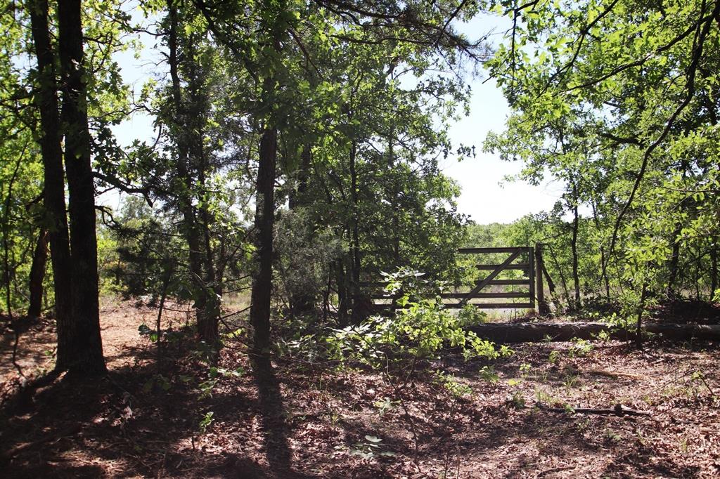 TBD County Road 4552, Winnsboro, Texas image 43