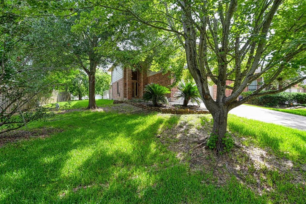 107 Cove, Conroe, Texas image 3