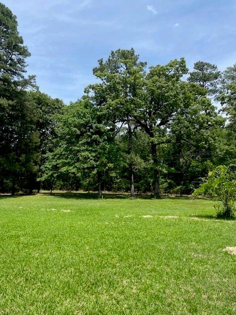 139 Ma County Road 3630, Jefferson, Texas image 12