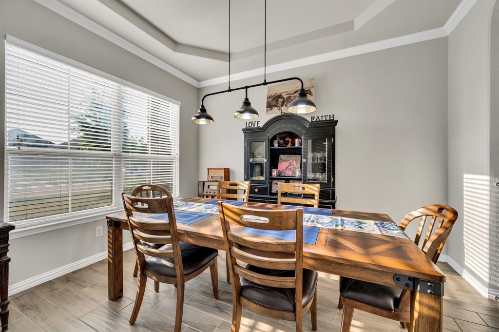 717 Willowbranch Lane, Midlothian, Texas image 20