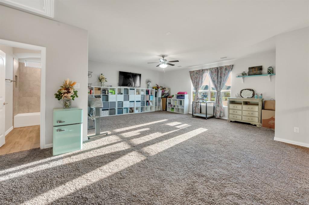 717 Willowbranch Lane, Midlothian, Texas image 29