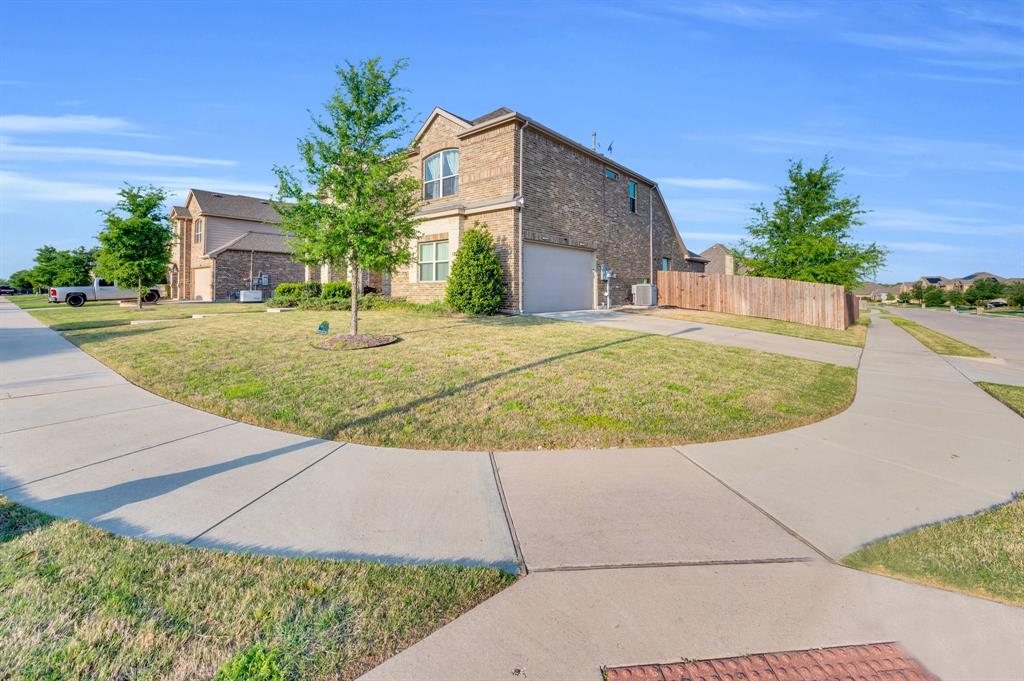 717 Willowbranch Lane, Midlothian, Texas image 3