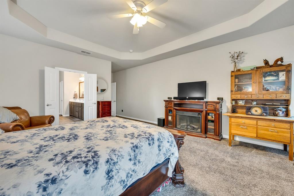 717 Willowbranch Lane, Midlothian, Texas image 21