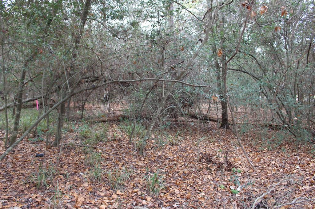 225 Dailey Road, Crockett, Texas image 4