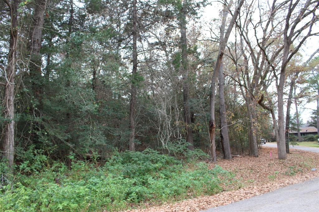 225 Dailey Road, Crockett, Texas image 5