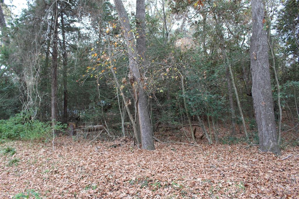 225 Dailey Road, Crockett, Texas image 8