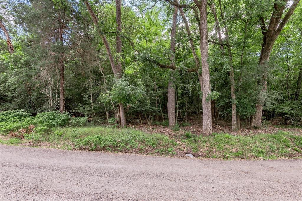 225 Dailey Road, Crockett, Texas image 1