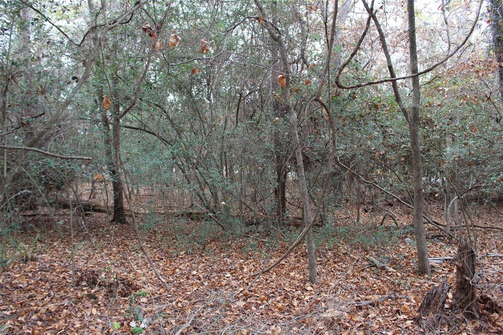 225 Dailey Road, Crockett, Texas image 3
