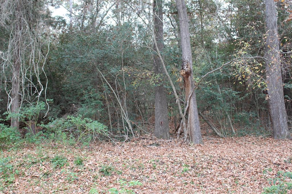 225 Dailey Road, Crockett, Texas image 6