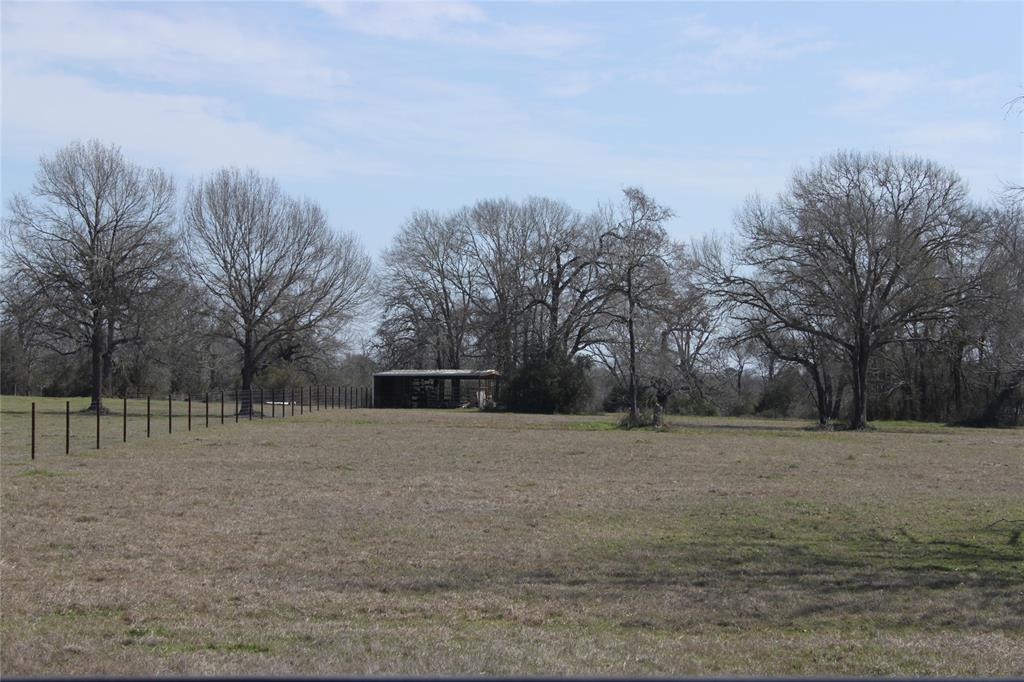 27038 Muckelroy Road, Hempstead, Texas image 2