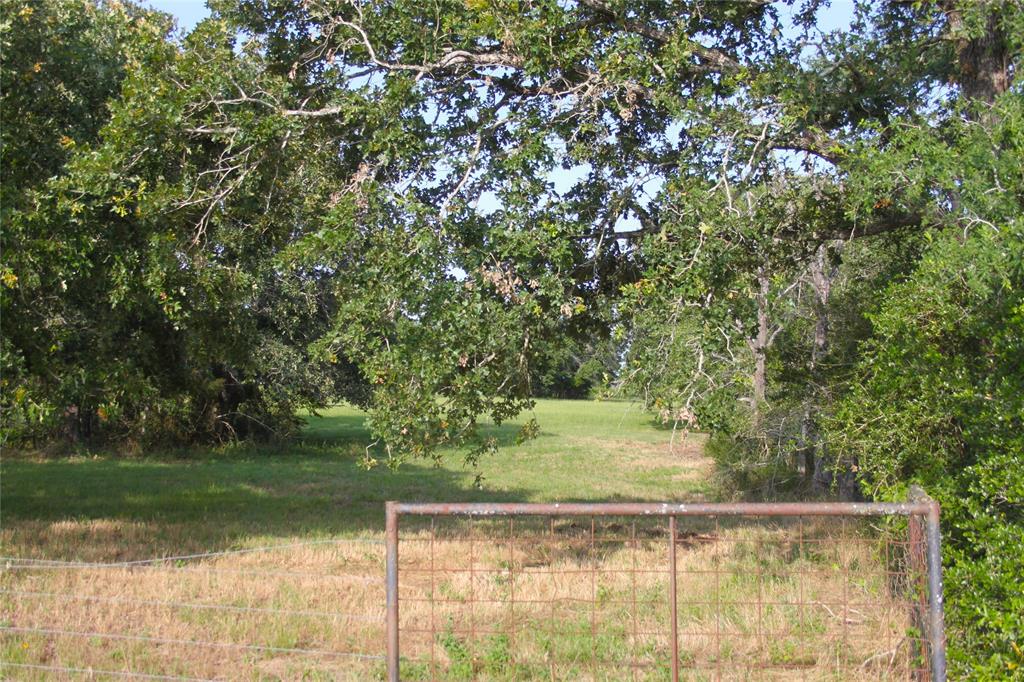 27038 Muckelroy Road, Hempstead, Texas image 4
