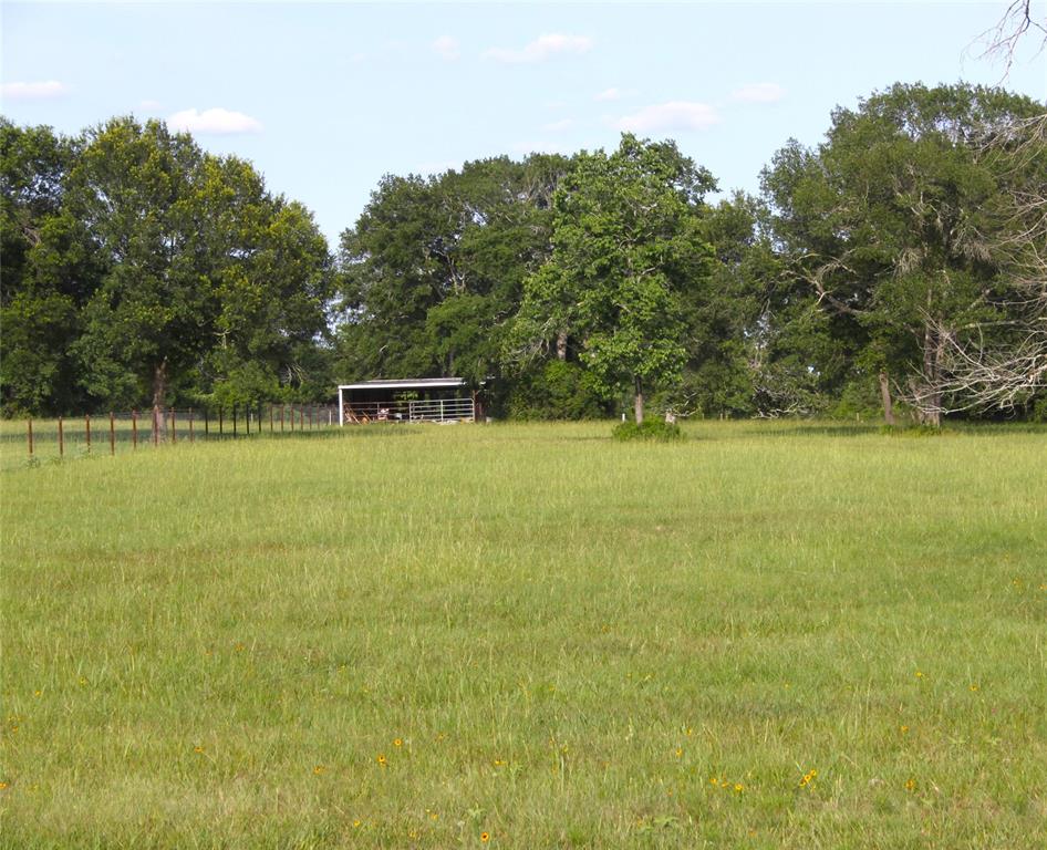 27038 Muckelroy Road, Hempstead, Texas image 2