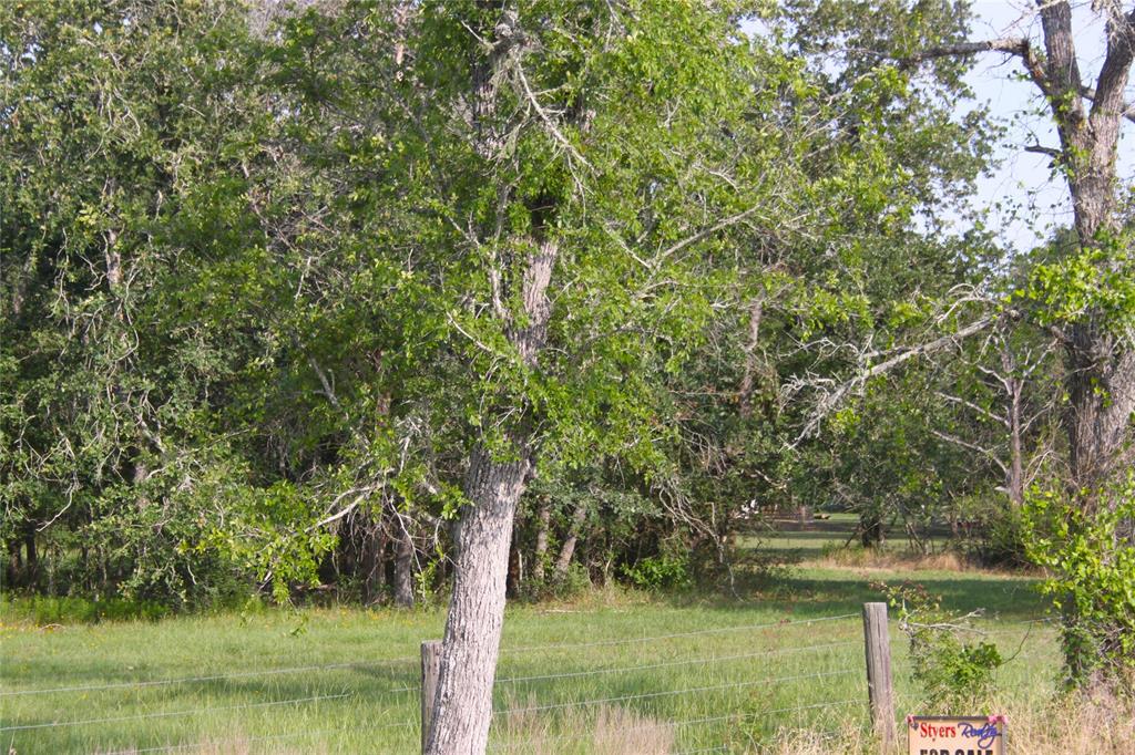 27038 Muckelroy Road, Hempstead, Texas image 3