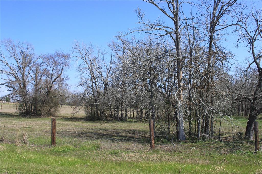 27038 Muckelroy Road, Hempstead, Texas image 5