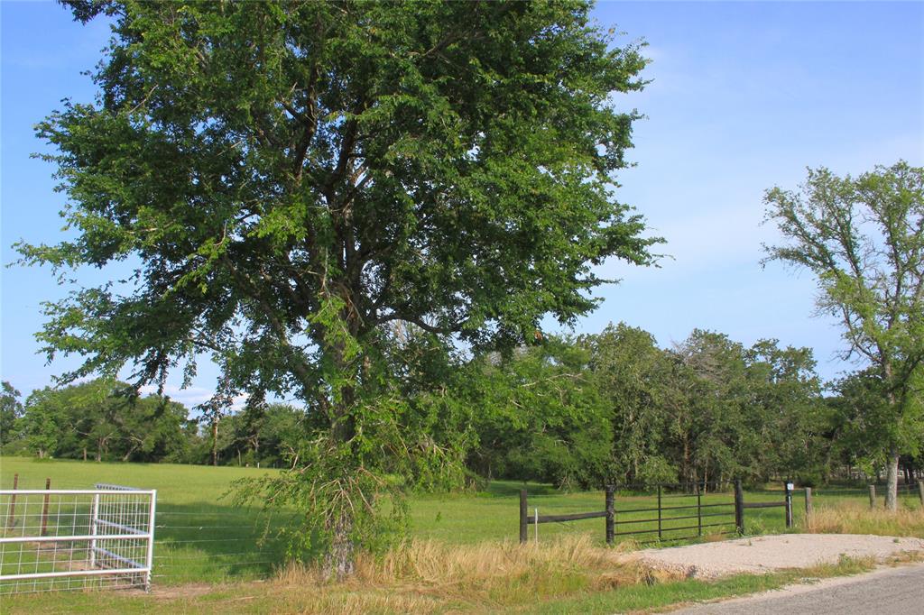 27038 Muckelroy Road, Hempstead, Texas image 5