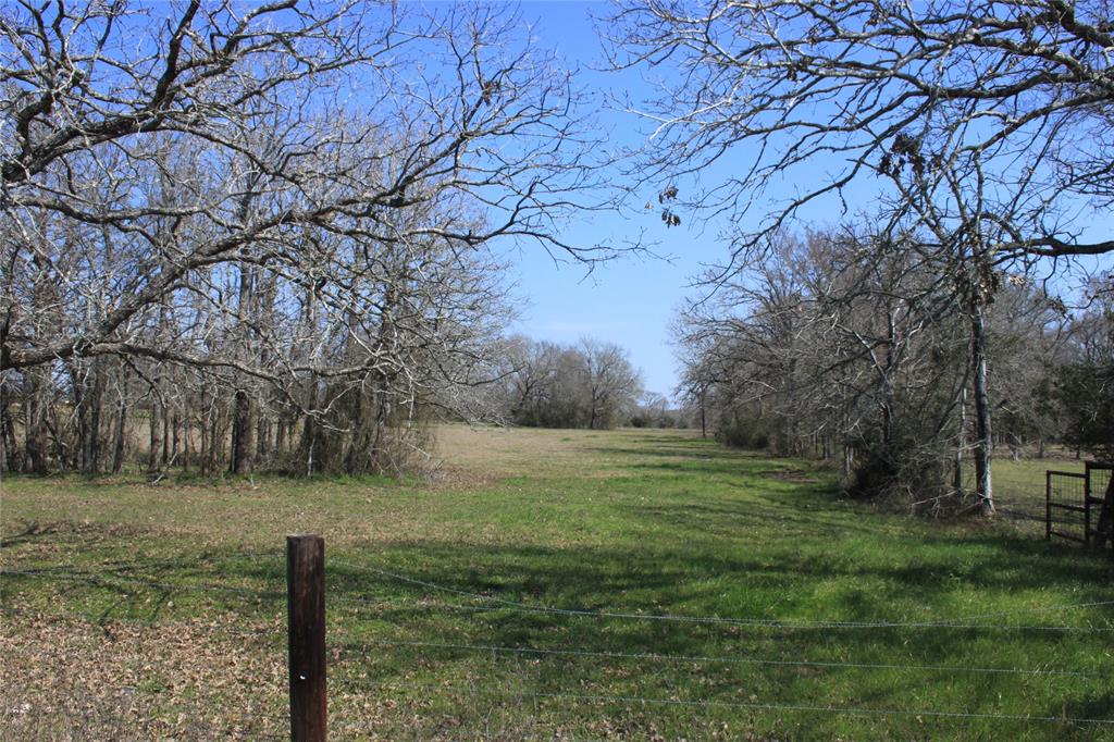 27038 Muckelroy Road, Hempstead, Texas image 7