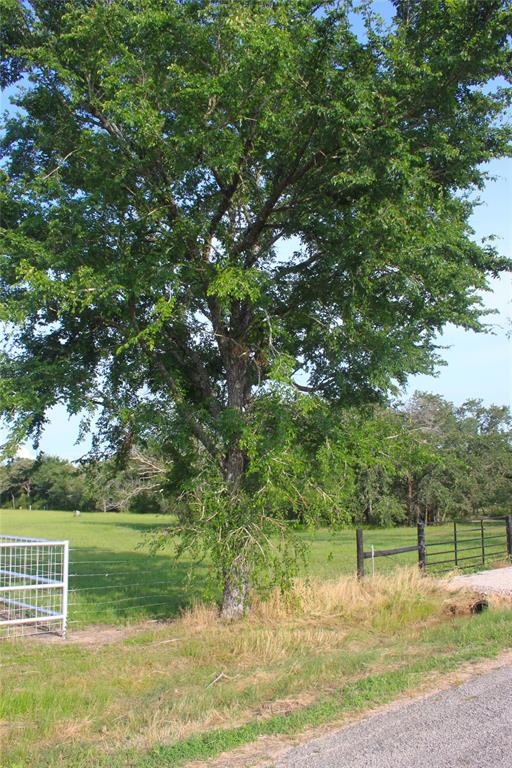 27038 Muckelroy Road, Hempstead, Texas image 6
