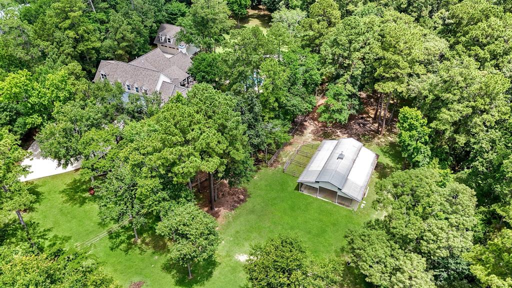 8902 Sendera Drive, Magnolia, Texas image 45