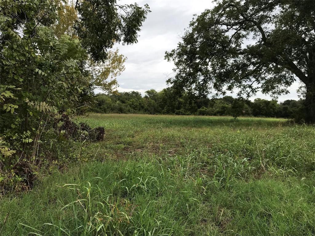 Pecan Street, Brenham, Texas image 6