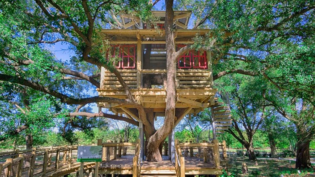10719 Yellow Wild Indigo Lane, Cypress, Texas image 8