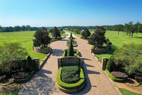 2302 Iris Cove Court Hockley TX 77447
