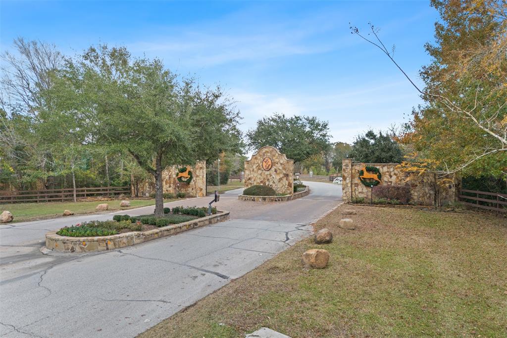 14667 Diamond Shores, Willis, Texas image 2