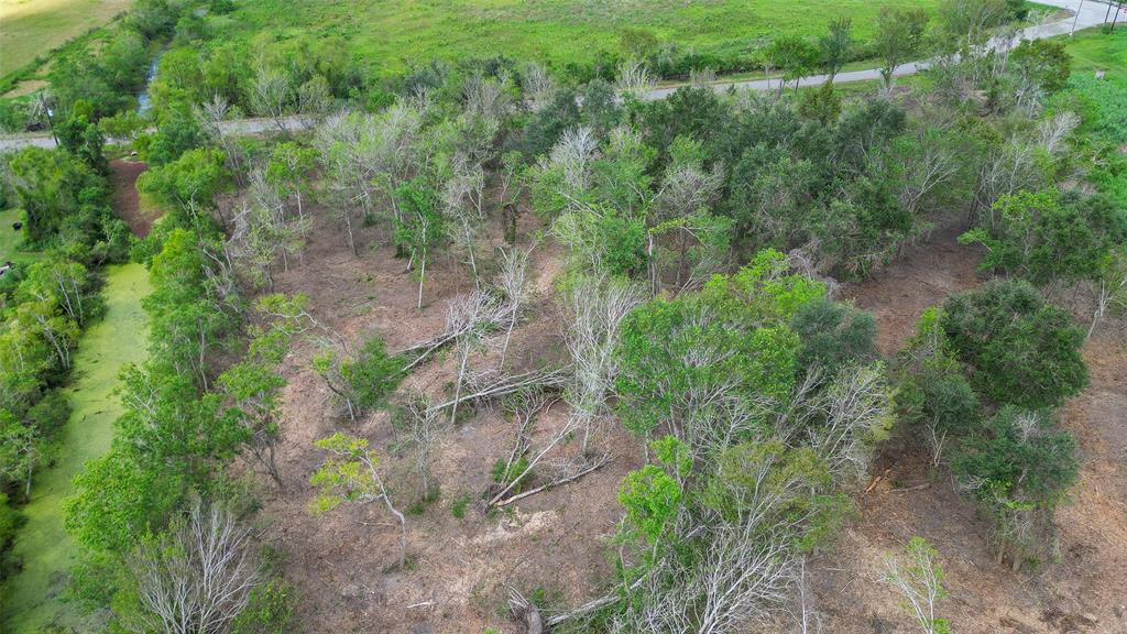 Norris Road, Rosharon, Texas image 13