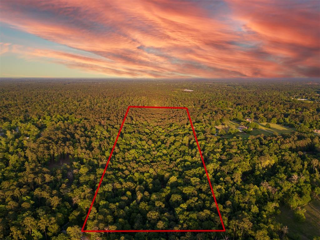 Fawn Trail, Conroe, Texas image 2