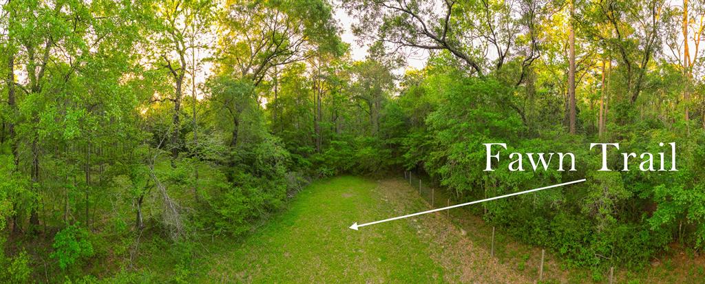 Fawn Trail, Conroe, Texas image 9