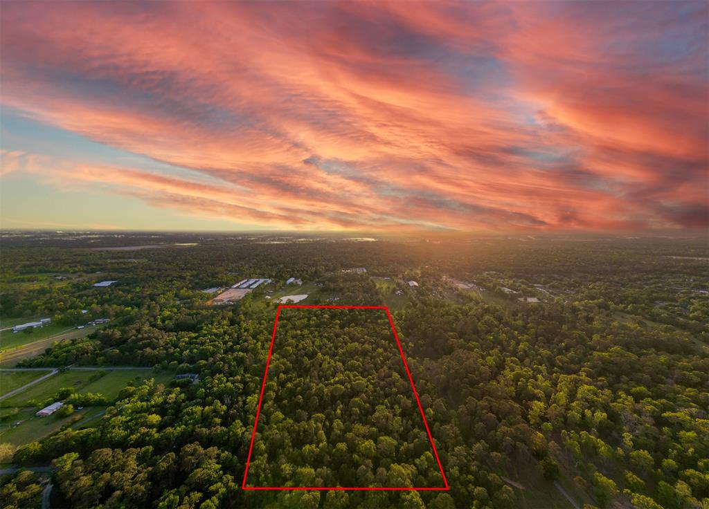 Fawn Trail, Conroe, Texas image 3
