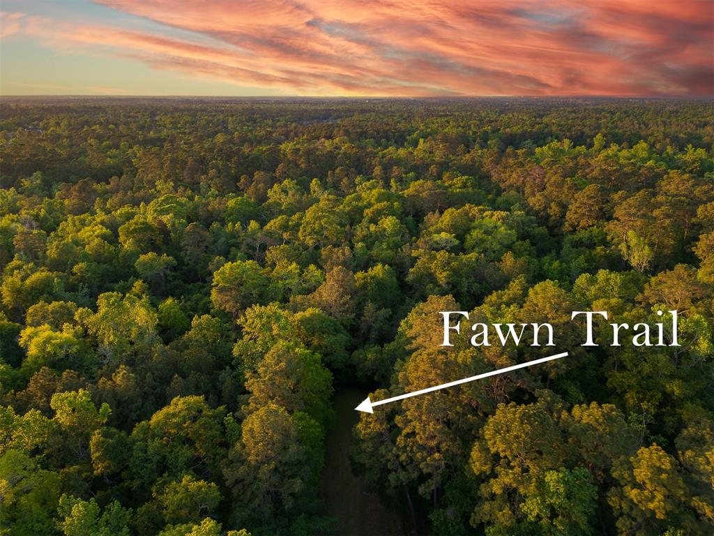 Fawn Trail, Conroe, Texas image 7