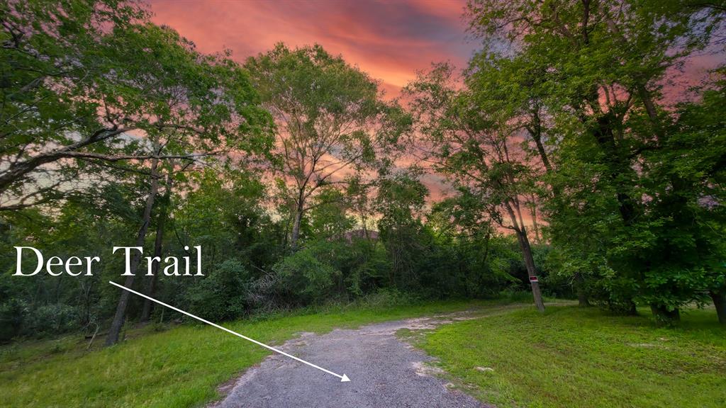 Fawn Trail, Conroe, Texas image 6