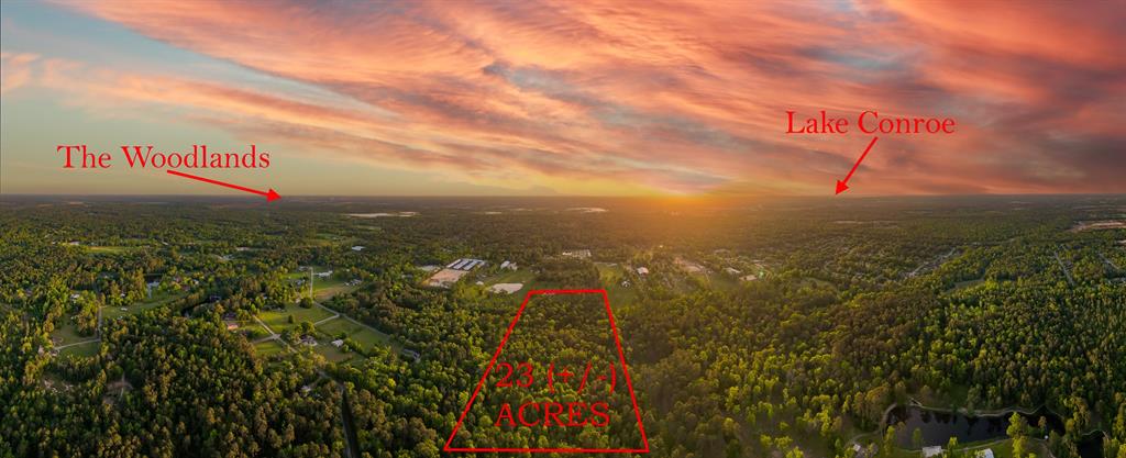 Fawn Trail, Conroe, Texas image 1