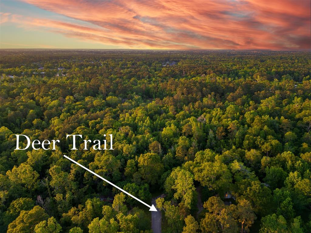Fawn Trail, Conroe, Texas image 5