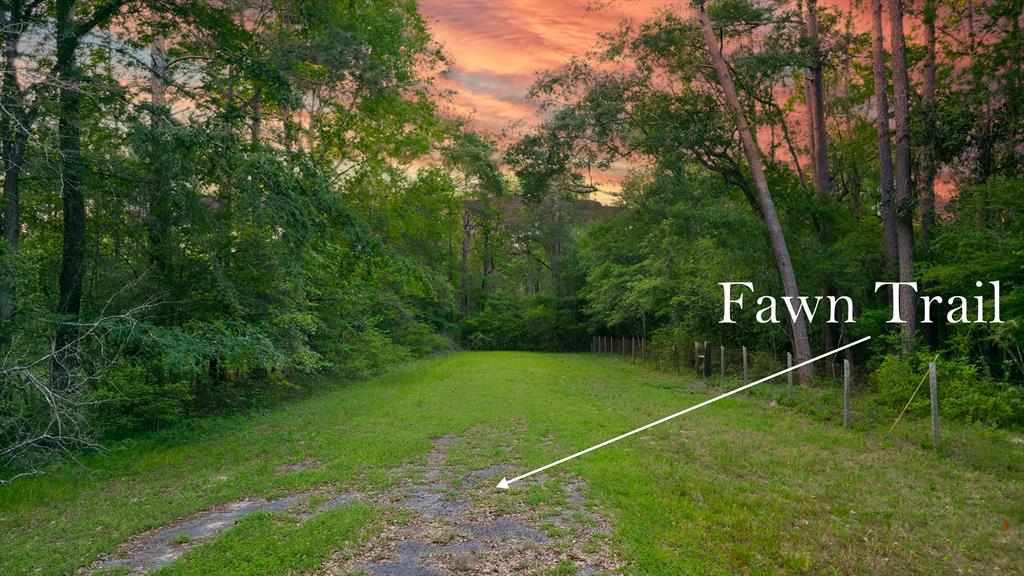 Fawn Trail, Conroe, Texas image 8