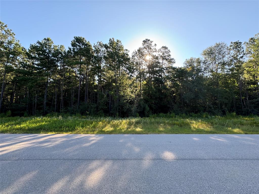 11-29-32 Grey Feather Road, Huntsville, Texas image 8