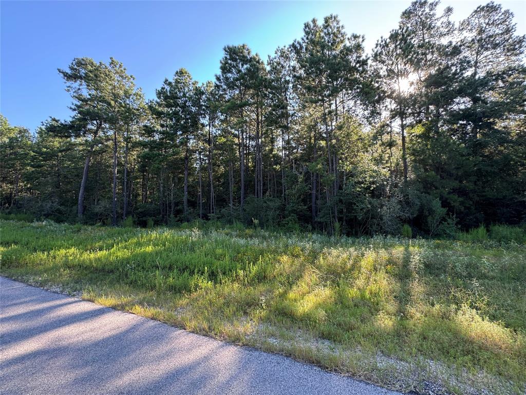11-29-32 Grey Feather Road, Huntsville, Texas image 9
