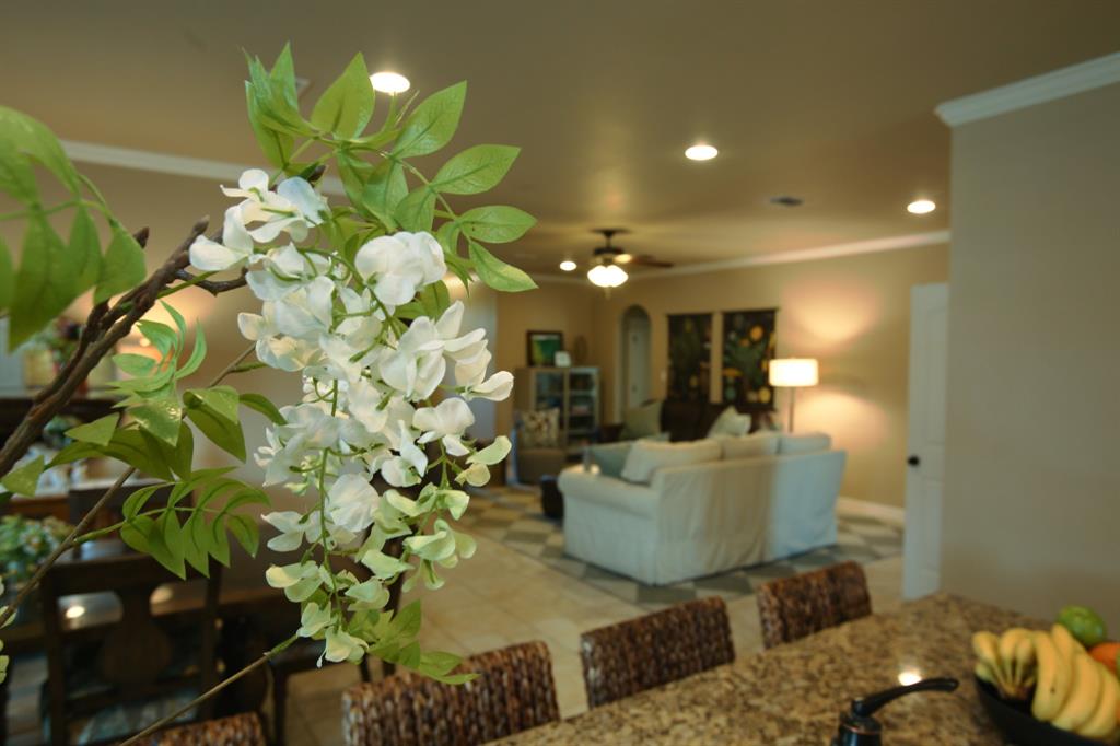 205 Rock Rose Ln, Lake Jackson, Texas image 25
