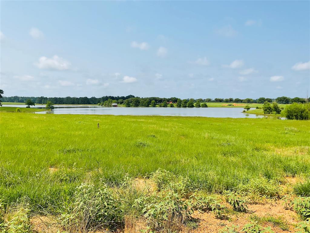 TBD Lakeland Loop, Lot 71, Hillister, Texas image 5