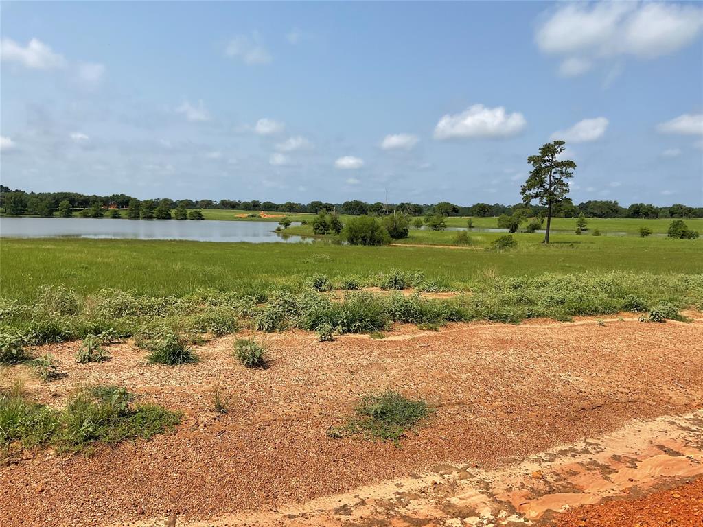 TBD Lakeland Loop, Lot 71, Hillister, Texas image 3