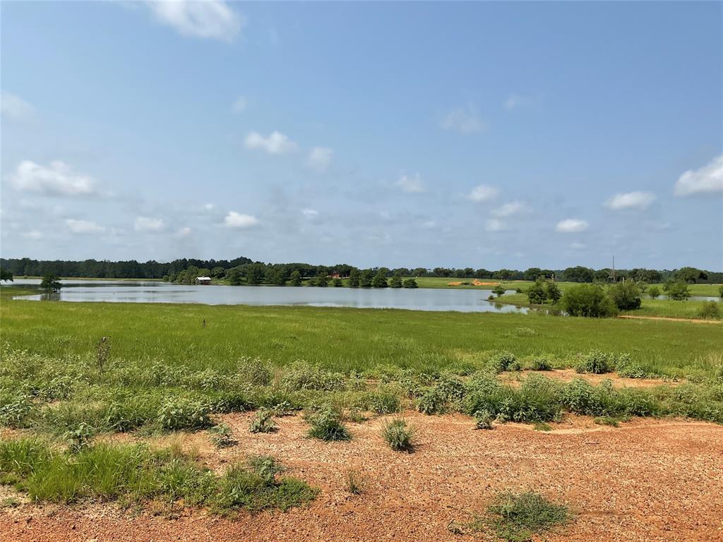 TBD Lakeland Loop, Lot 71, Hillister, Texas image 6