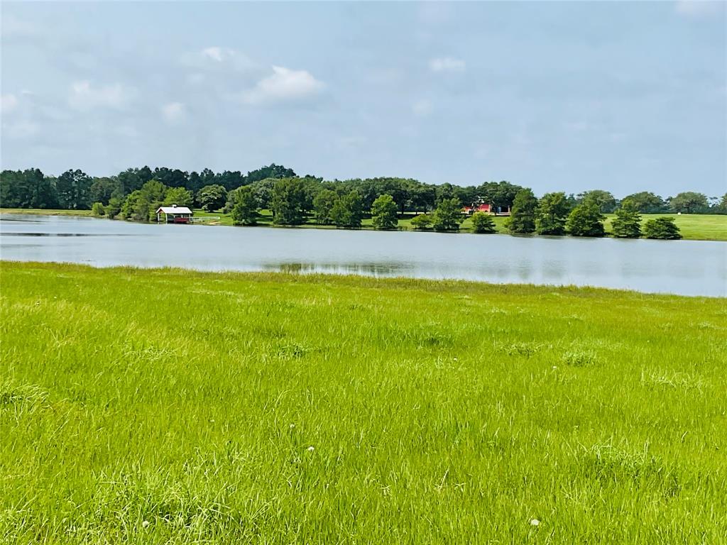 TBD Lakeland Loop, Lot 71, Hillister, Texas image 4