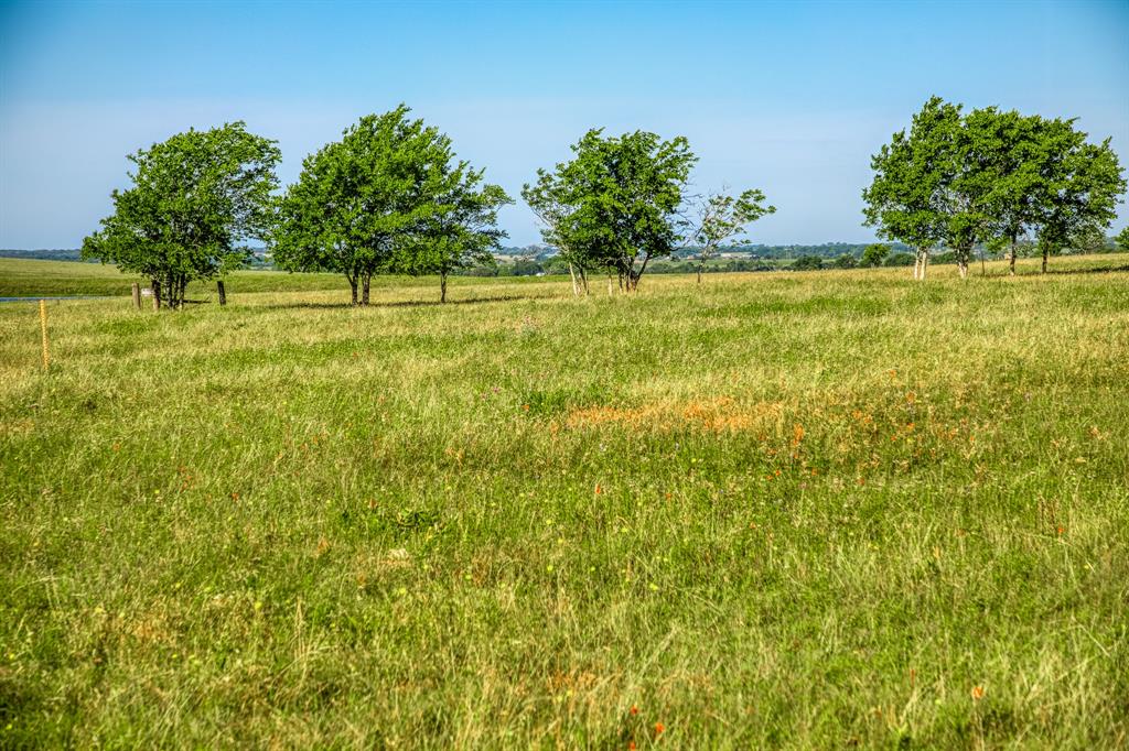 5005 Fuchs Rd - Lot 7 Rd, Burton, Texas image 4