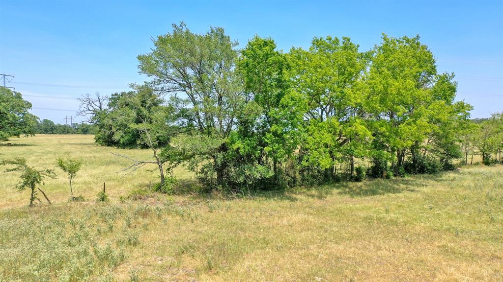 8538 Preservation Way, North Zulch, Texas image 3