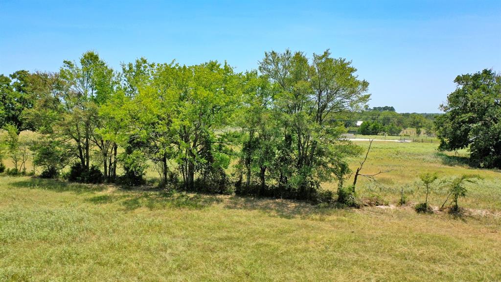 8538 Preservation Way, North Zulch, Texas image 7