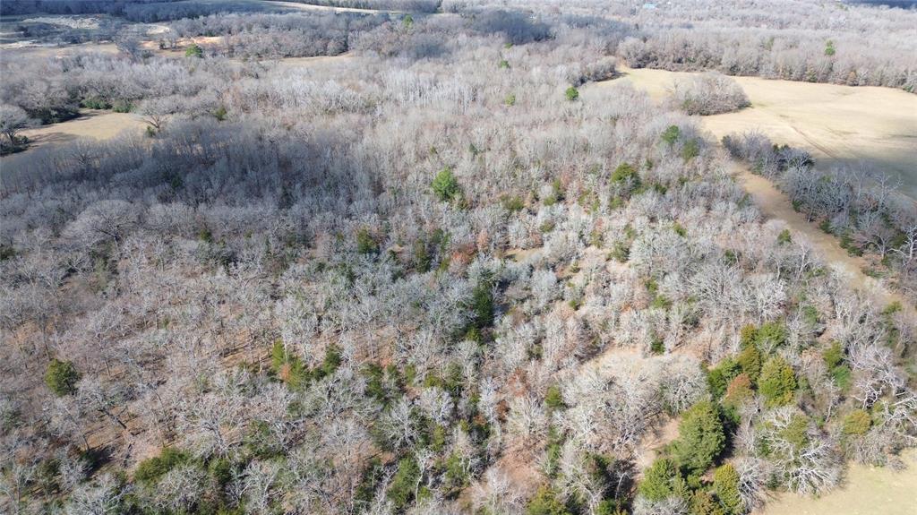 00 An County Road 2202, Palestine, Texas image 7