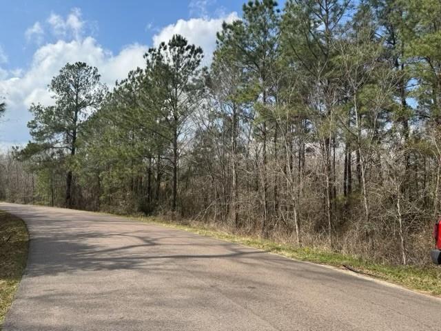 1400 County Road 4212, Orange, Texas image 4