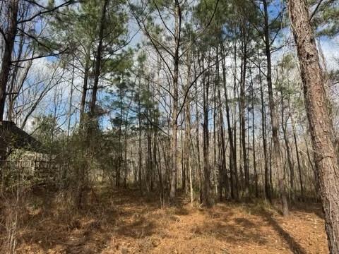 1400 County Road 4212, Orange, Texas image 5